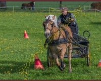 1POSIEUX 0142
